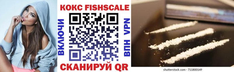 что такое   Арсеньев  МЕГА как зайти  Cocaine Fish Scale 
