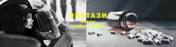 шишки Няндома